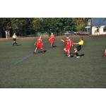 780x52005.ST  BSG-Schmiedeberg 01.10 (64).JPG